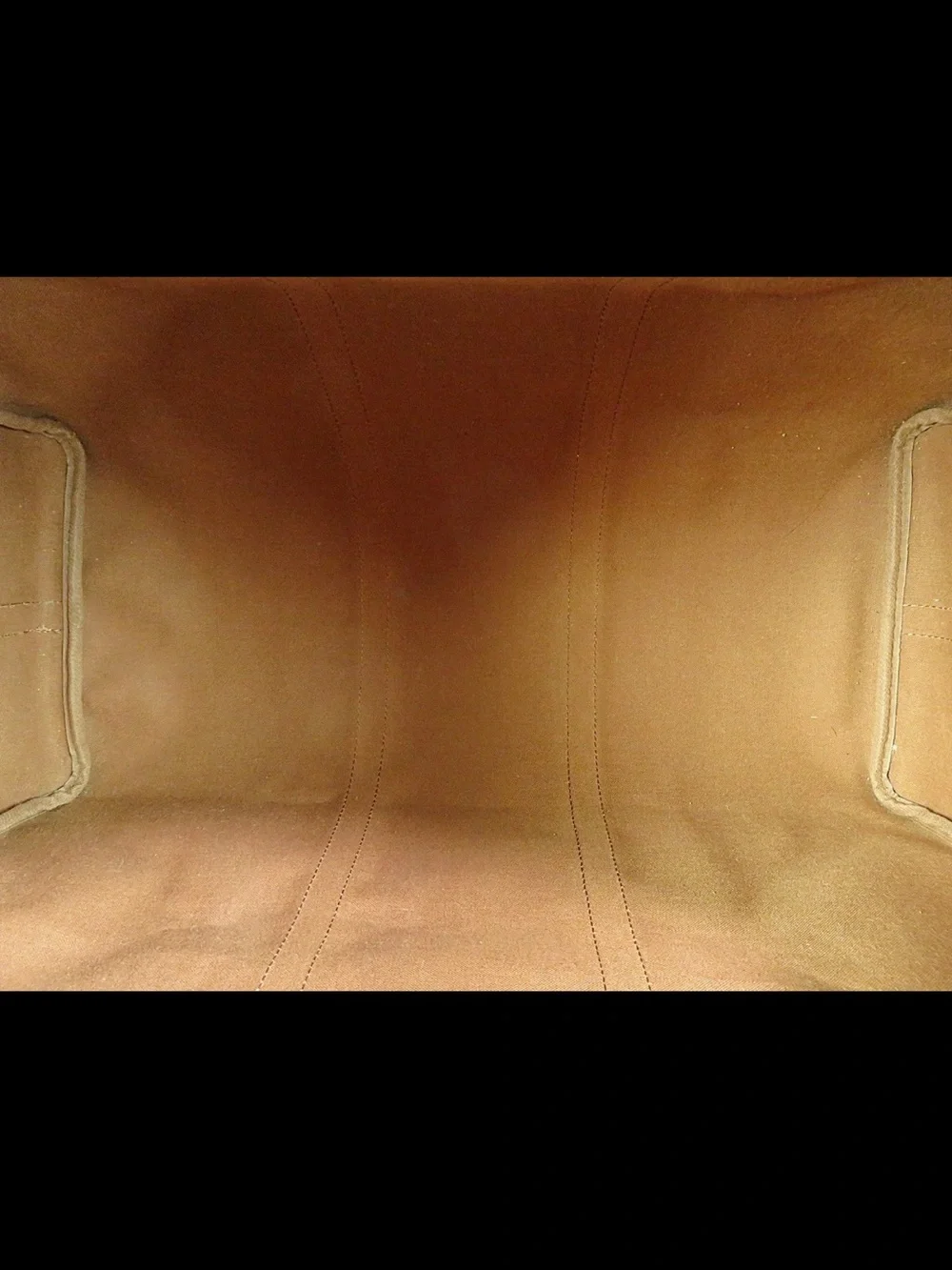 Louis Vuitton distinctive monogram